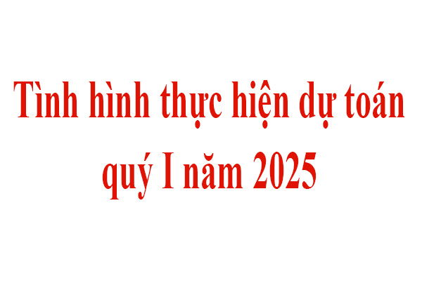 Tình hình thực hiện dự toán quý I năm 2025