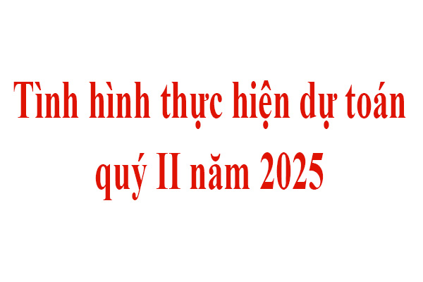Tình hình thực hiện dự toán quý II năm 2025