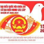 Một số lưu ý về bầu cử đại biểu Quốc hội khóa XVI và đại biểu HĐND các cấp