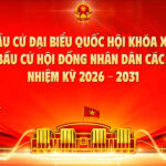 Hướng dẫn quy trình bỏ phiếu bầu cử ĐBQH khoá XVI và đại biểu HĐND các cấp nhiệm kỳ 2026-2031